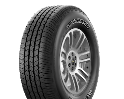 Michelin Defender LTX M/S2 tire
